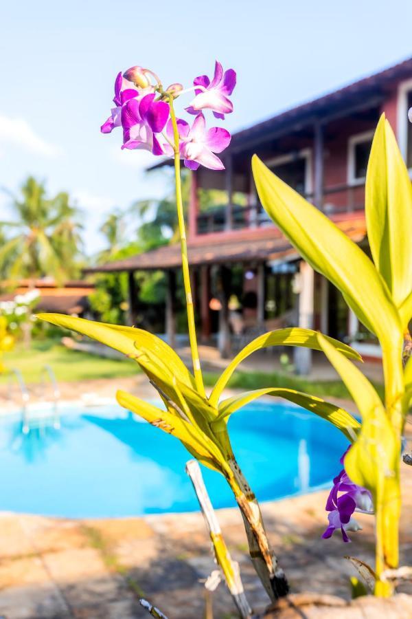 Flow Guest House Salinópolis Dış mekan fotoğraf